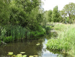Bornsebeek